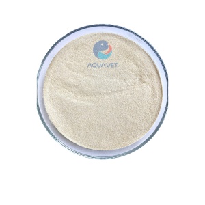 Enzyme Beta - Glucanase